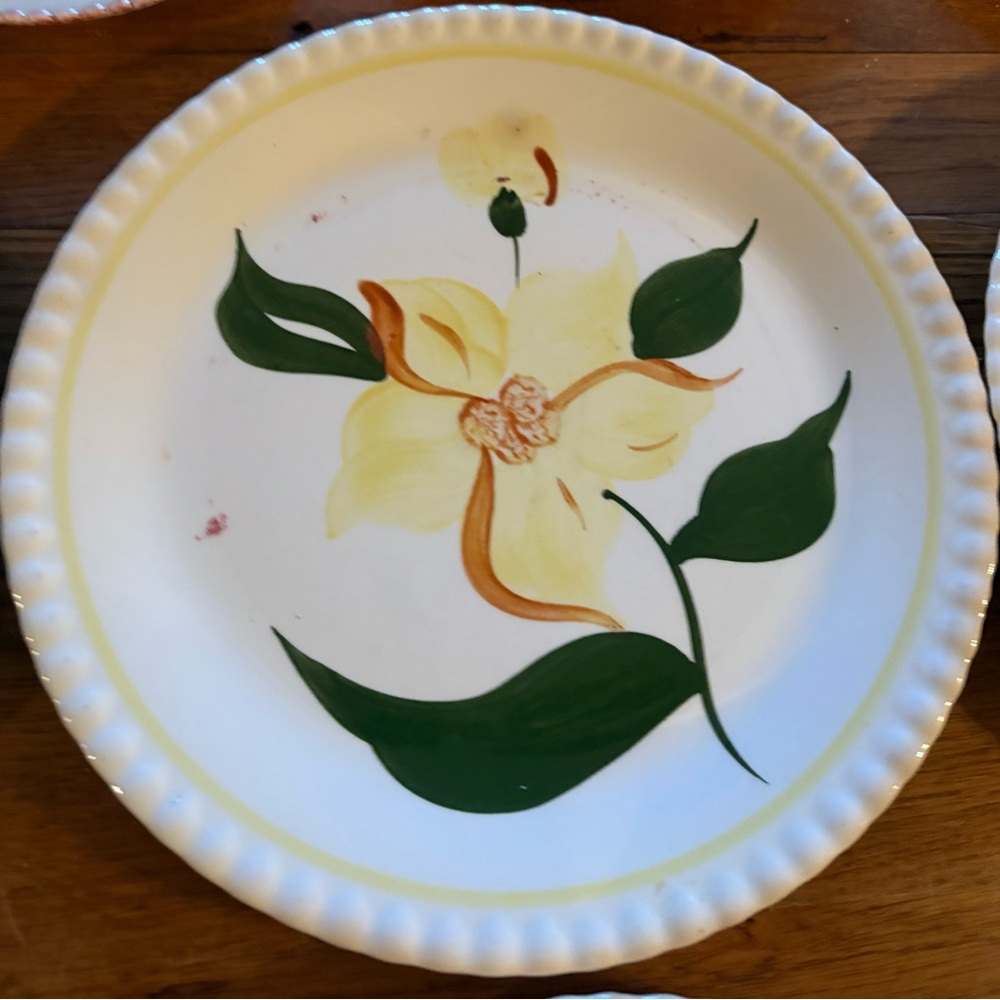 Blue Ridge Pottery Assorted Dishes - Picture 5 of 15